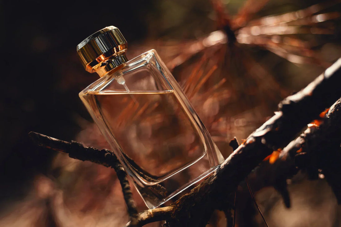 Winter Scents: Navigating Our "Trending for Winter" Collection
